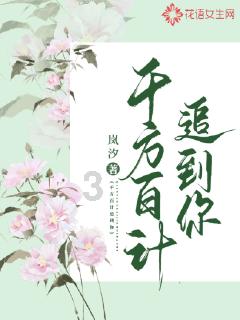 探寻网络无法连接ipv4和ipv6显示无网络访问权限的冷知识,尽在网络无法连接ipv4和ipv6显示无网络访问权限冷知识分享平台